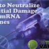 How to Neutralize Potential Damage from mRNA Vaccines | Alternative | Before It'