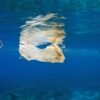 海ゴミの出所を特定、1位は中国 | ナショナル ジオグラフィック日本版サイト