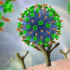 インドで高致死率のニパウイルス感染を確認、1人死亡で警戒高まる | Forbes JAPAN（フ