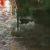 東京 埼玉で漏水の被害 千葉では水道管が破損 | NHKニュース