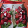 日本産イチゴから基準値超えの農薬 541キロを処分／台湾（中央社フォーカス台湾） - Y