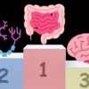 腸は第2の脳ではなく、むしろ「脳の方が腸から生まれた」と判明！ - ナゾロジー