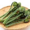 コゴミの栄養と効能 | 解決野菜 -野菜を知る・食べる・頼る-